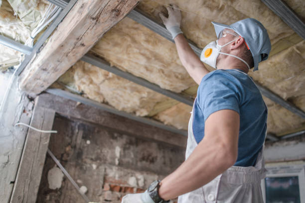 Best DIY Insulation Kits and Guidance in Cottonwood, ID